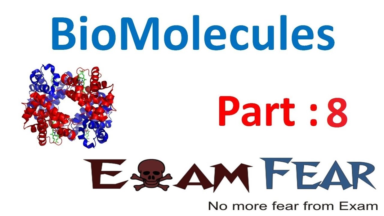 Chemistry Biomolecules part 8 (Glucose Anomers) CBSE class 12 XII