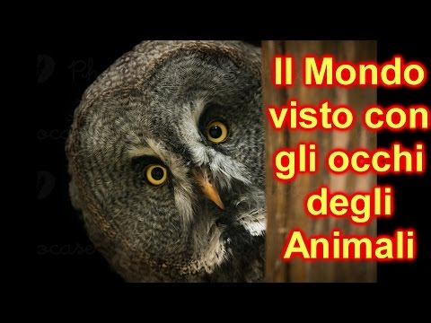 Osteocondrosi si stringono la mano Sul dito congiunta accumulo