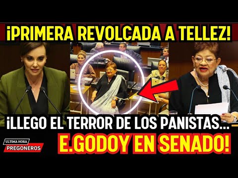 ¡PRIMERA REVOLCADA A LILLY TELLEZ! LLEGO MUY GALLITA Y PROXIMA FISCAL ERNESTINA GODOY LA APLACA!