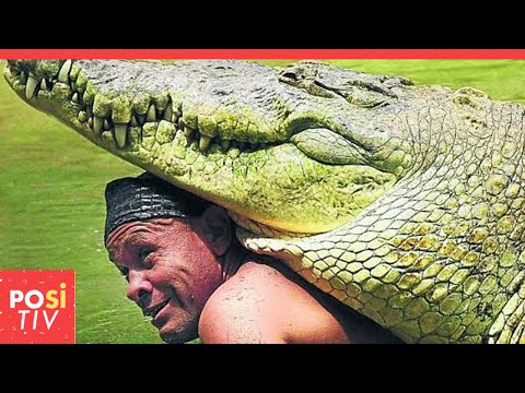 Die unglaubliche Freundschaft eines Fischers zu einem verletzten Krokodil
