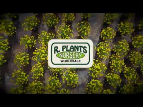 R. Plants Inc. | Home