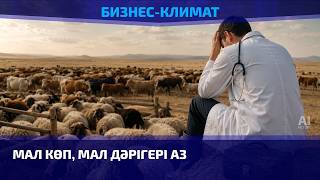 Ветеринарлар неге тапшы?