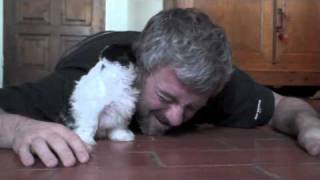 Смотреть онлайн Знакомство щенка с хозяином - милота
