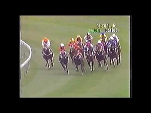 1994 ATC Champagne Stakes