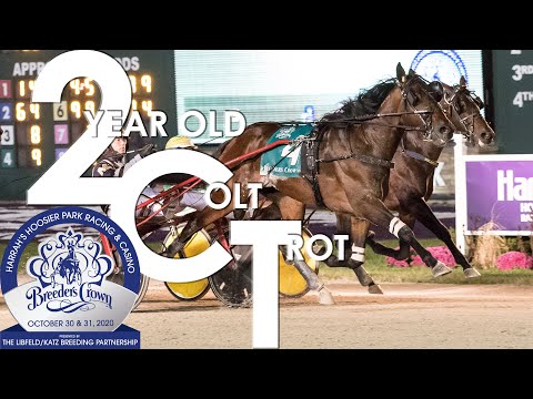 2020 Breeders Crown - On A Streak - 2CT