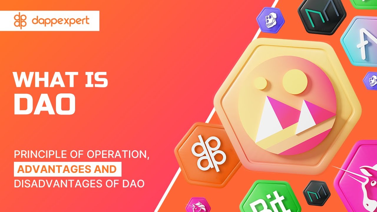What is DAO? Principle of operation, advantages and disadvantages of DAO
