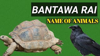 Animals Name In Bantawa Rai.बान्तावा राई