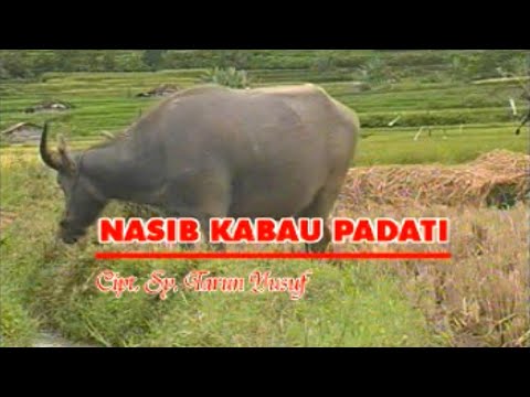 Yogi Novarionandes - Nasib Kabau Padati (Official Music Video)