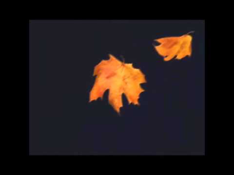 Tolga Mestçi & Serhat Aydoğar..Hadi beni öldür..