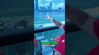 This Is Why People Book Virgin Voyages #virginvoyages #cruise #cruiseship