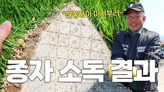 벼 농사 종자 소독 2차 결과를 보여드립니다! 종자 소독의 중요성 대공개