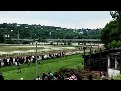 Trka "Čukarica" 2025