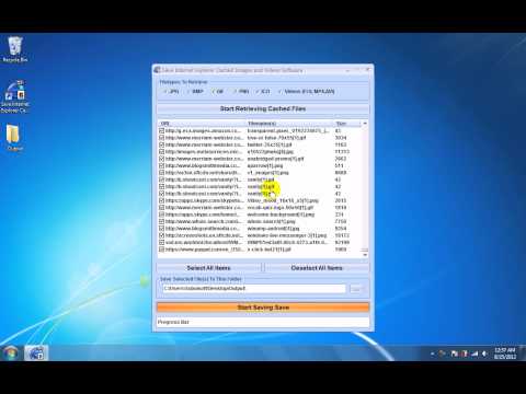 Save Internet Explorer Cached Images and Videos Software