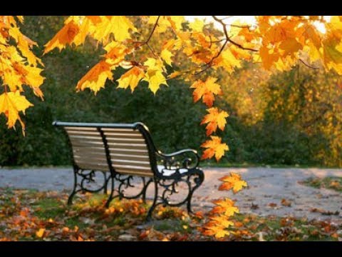 "Незаконченный роман"