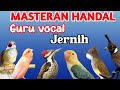 MASTERAN MURAI BATU FULL ISIAN TEMBAKAN MEWAH MUDAH DITIRU MURAI Bahan ISIAN JERNIH SUARA KASAR