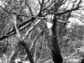 Third Eye Blind - Narcolepsy (Music Video)