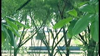 Siti Nordiana - Bila Kau Tak Kembali (Official Music Video)