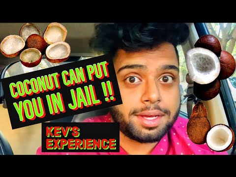 Kevin Coconut almost got us Arrested in the Airport !!!