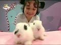 Kids And Pets Conejos BabyTV