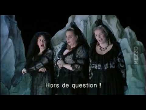 Die Zauberflote | The Magic Flute | La Flauta Magica | l'Opera de Paris 2000