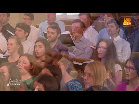 Domn Preaînalt - video