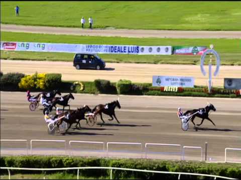 Trotto 03/05/2015 - 7° corsa  66°Consolazione Gp. Lotteria