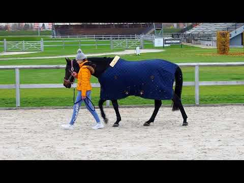 Winter Masters Series Šamorín 2019