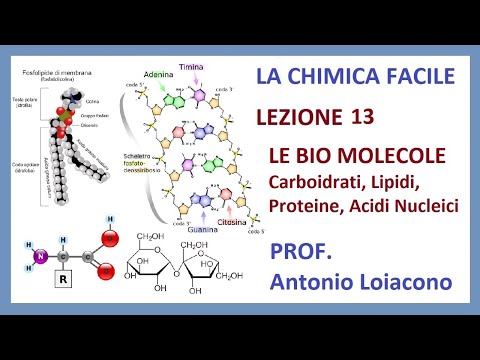 LA CHIMICA FACILE - Lezione 13 - Le Biomolecole