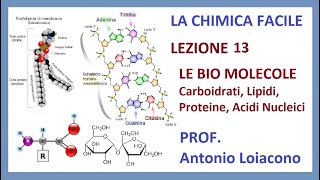 LA CHIMICA FACILE - Lezione 13 - Le Biomolecole