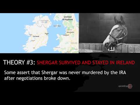 What Happened to Shergar? 5 Theories You'll Hear in Pubs