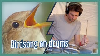 Thrush Nightingale Song &amp; Drums