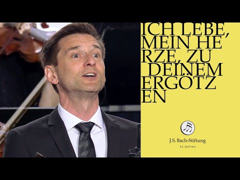 Bachstiftung