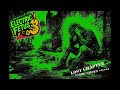 GANG GREEN - "Lost Chapter" (cover by Electric Fetus)