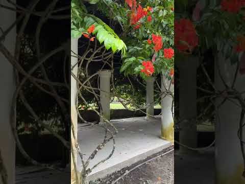 Me and My little dad.#viralvideo #travel #nature #nasrin .