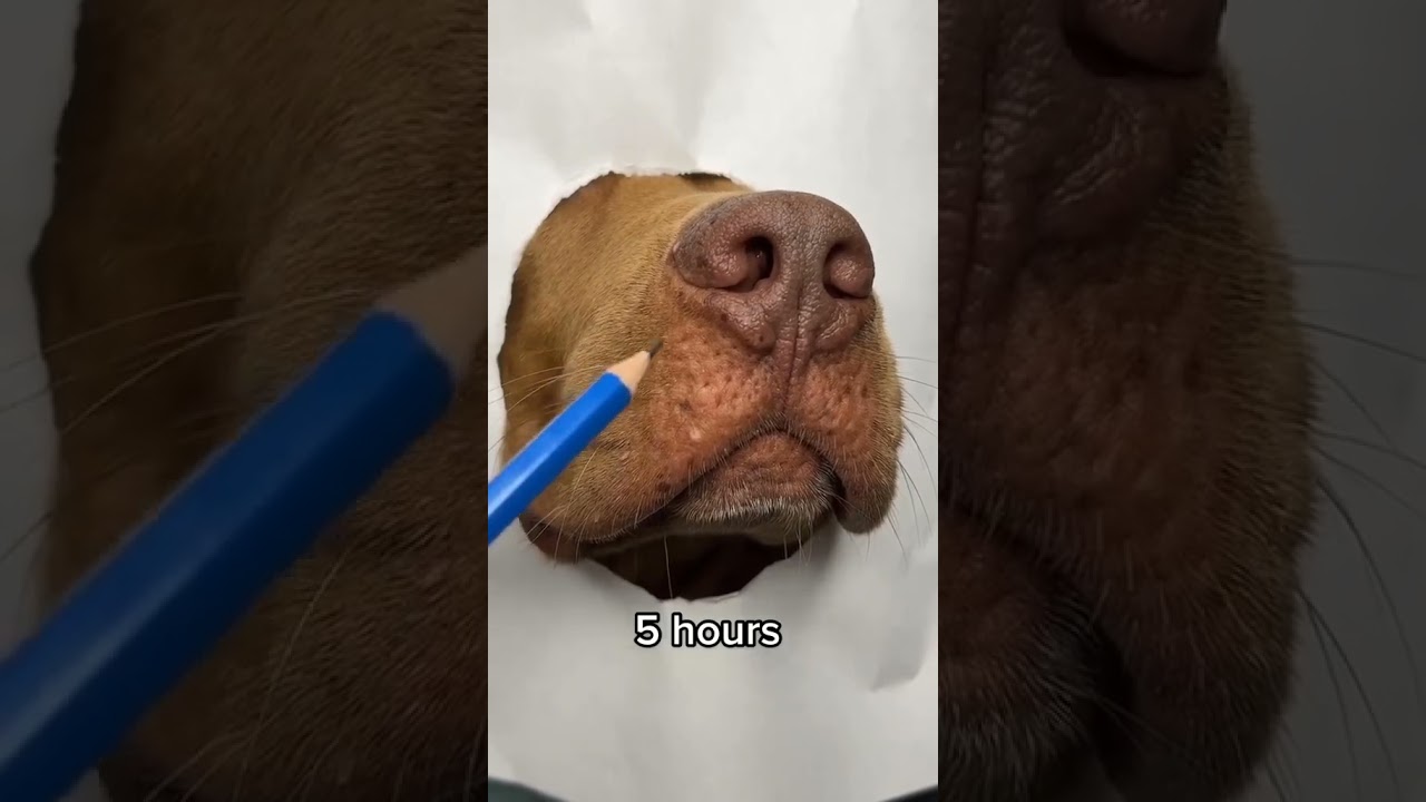 Cómo dibujar a un perrito realista 😅😊🐶❤️ #pitbull  #perrosfelicesdueñosfelices #perfect #perro #fy