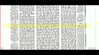 יבמות דף קו