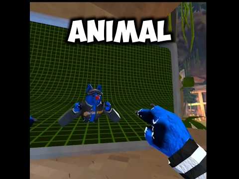 They added back OG animal company! #animalcompany