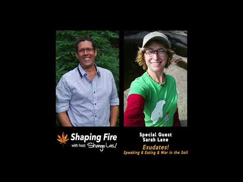 Shaping Fire Ep 99 - Exudates! Speaking and Eating and War in the Soil with guest Sarah Lane