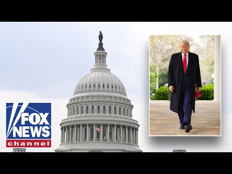 Trump US ambassador to NATO dismisses Biden 'bluster'