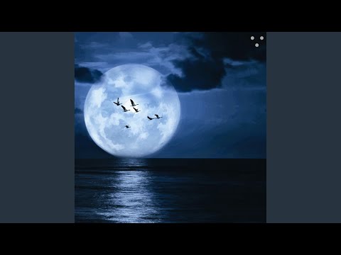 Noite (feat. Dragon Boys)