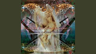Download lagu My Black Diary (feat. Death in June) mp3