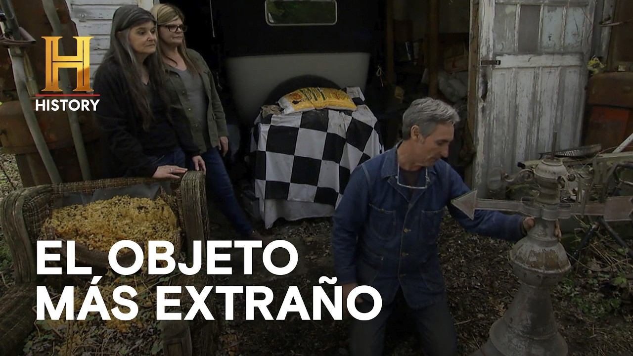 LA OPINIÓN DEL EXPERTO - CAZADORES DE TESOROS