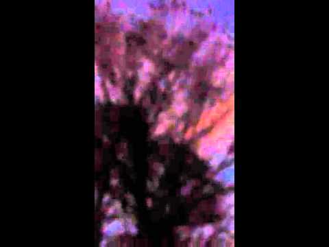 Le rassemblement des corbeau 2