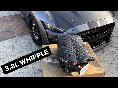 My Whipple Supercharger Arrived For My 2020 Shelby GT500! *1,400+ WHP BUILD*