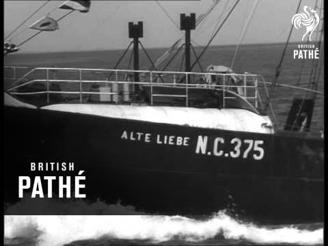 German High Sea Fishing Fleet (1950-1959)