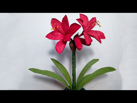 Amaryllis Paper Flower Made From Crepe Paper | Origami Flower