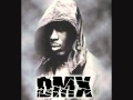 DMX - Make A Move!!!