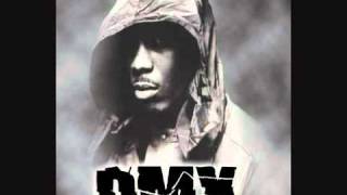 DMX - Make A Move!!!