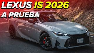 Lexus IS 2026, a prueba: un sedán que mezcla el lujo japonés con una dinámica digna de entusiastas