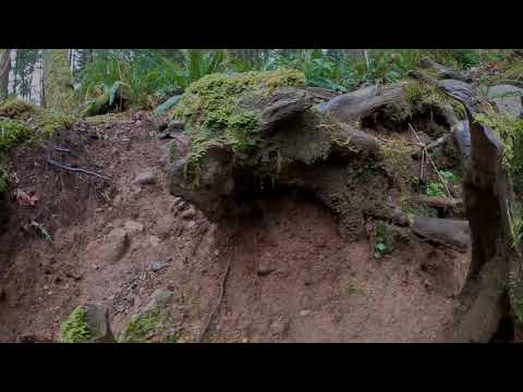 West Tiger Mountain #3 via Cable Line